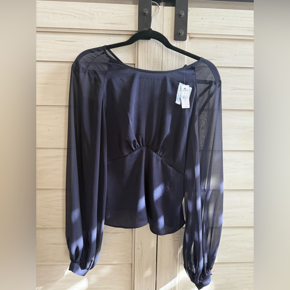 Express Sheer Black Blouse
